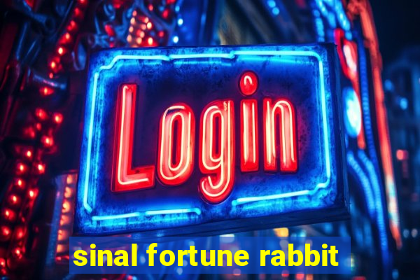 sinal fortune rabbit